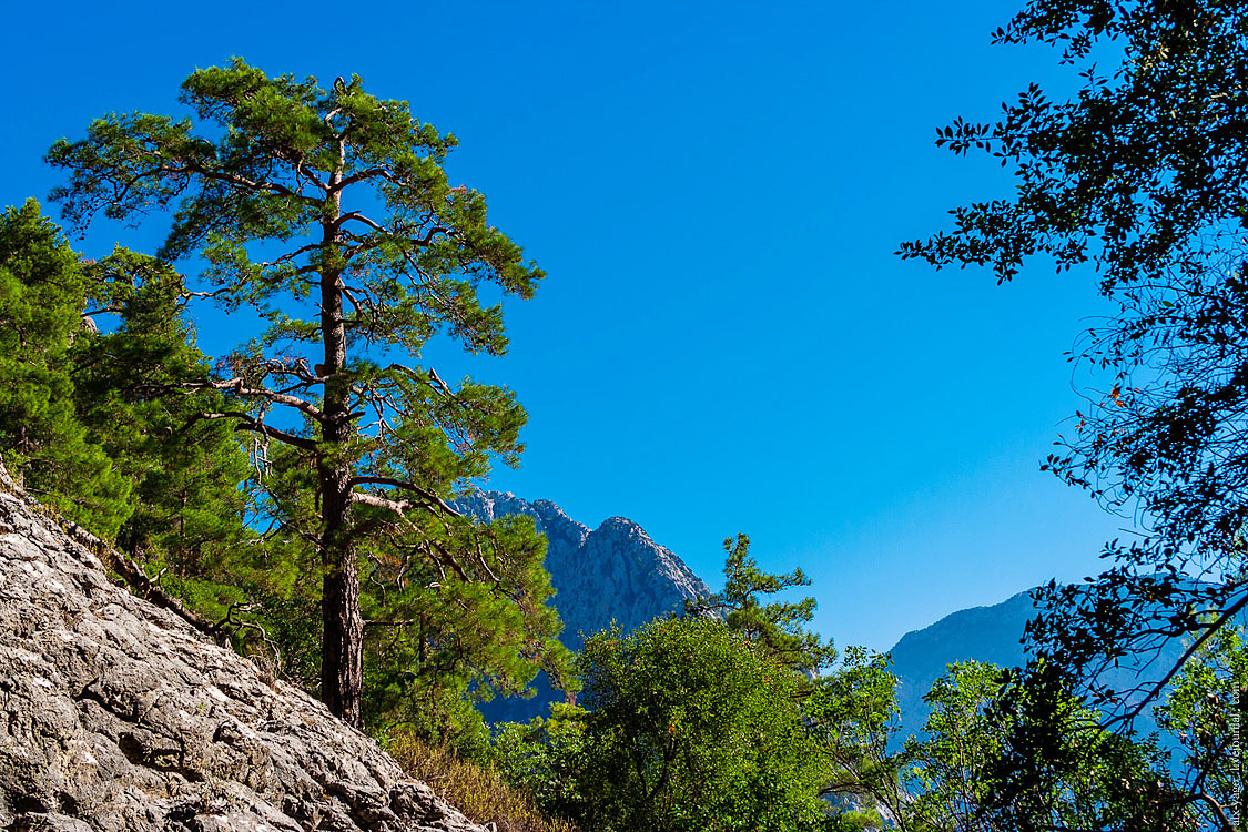 Elven path. - My, Travels, The photo, Tourism, Wild tourism, Hiking, The mountains, Longpost