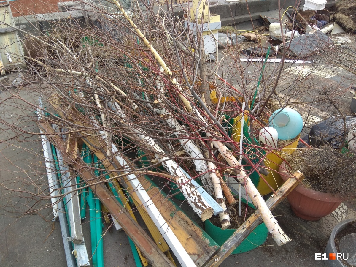 In Yekaterinburg, a garden on the roof of a 9-storey building was destroyed, which was broken by a local 18 years ago - Yekaterinburg, Management Company, Garden, Tree, Longpost, Roof, Negative