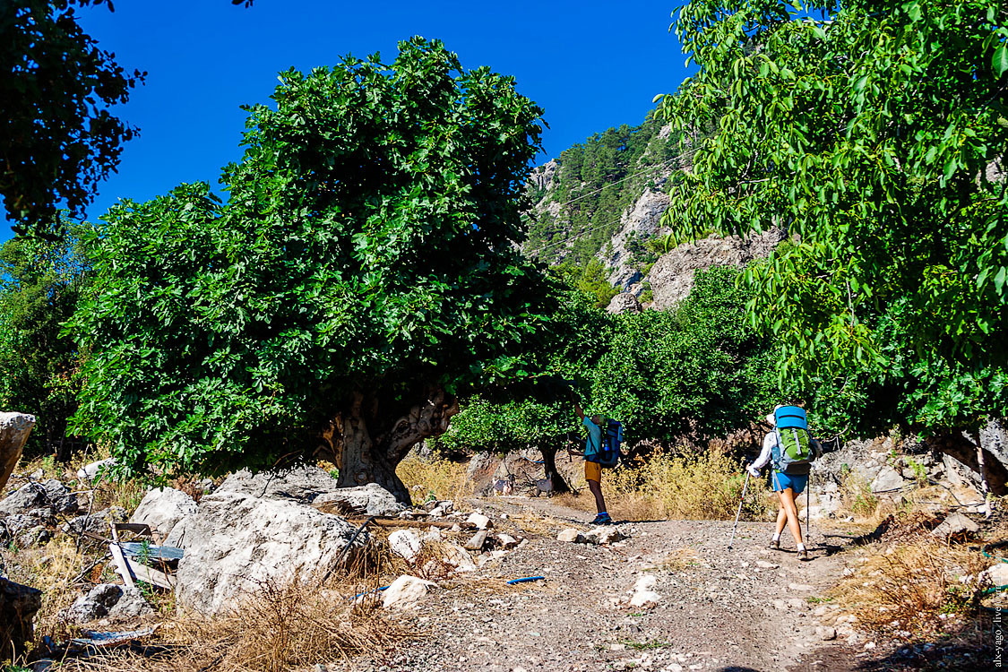 Elven path. - My, Travels, The photo, Tourism, Wild tourism, Hiking, The mountains, Longpost