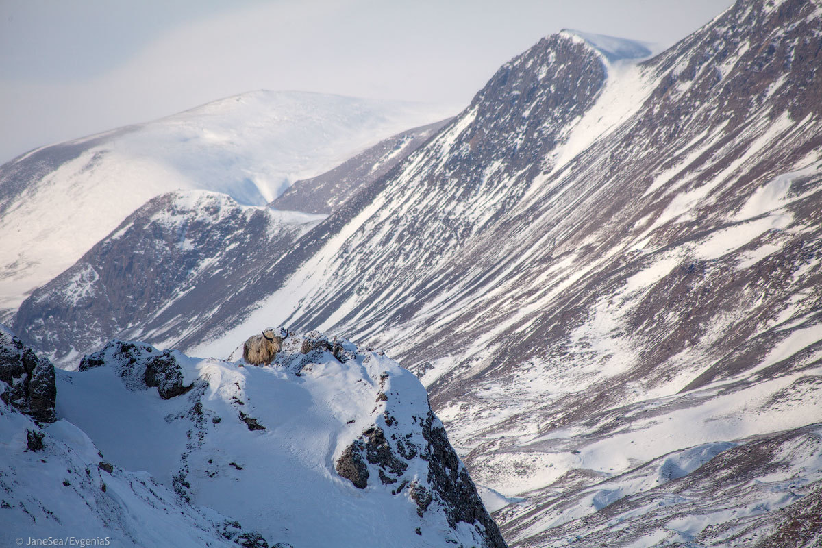 Winter at the border - Day 4 - My, Altai, Mountain Altai, Winter, Russia, Travel across Russia, Travels, Chui Valley, The mountains, Longpost, Altai Republic