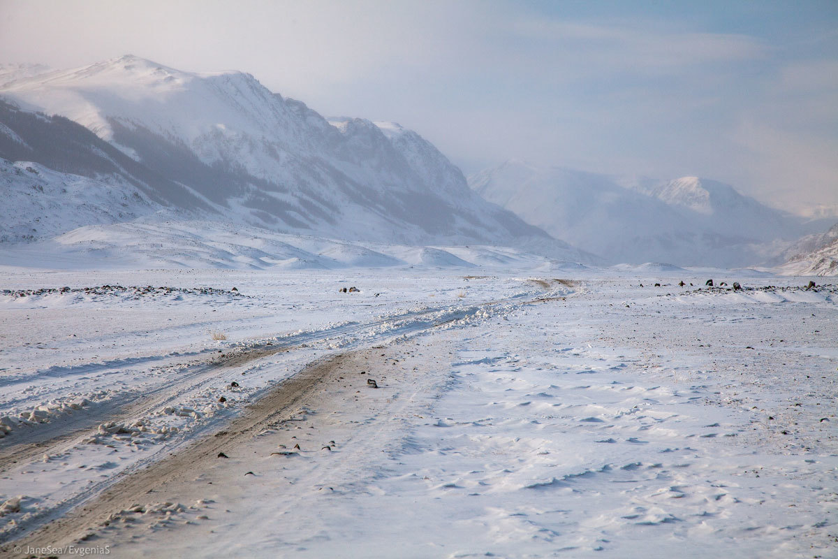 Winter at the border - Day 4 - My, Altai, Mountain Altai, Winter, Russia, Travel across Russia, Travels, Chui Valley, The mountains, Longpost, Altai Republic