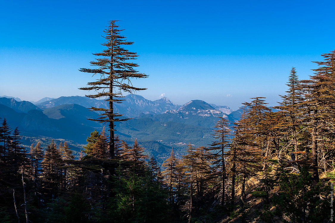 Elven path. - My, Travels, The photo, Tourism, Wild tourism, Hiking, The mountains, Longpost