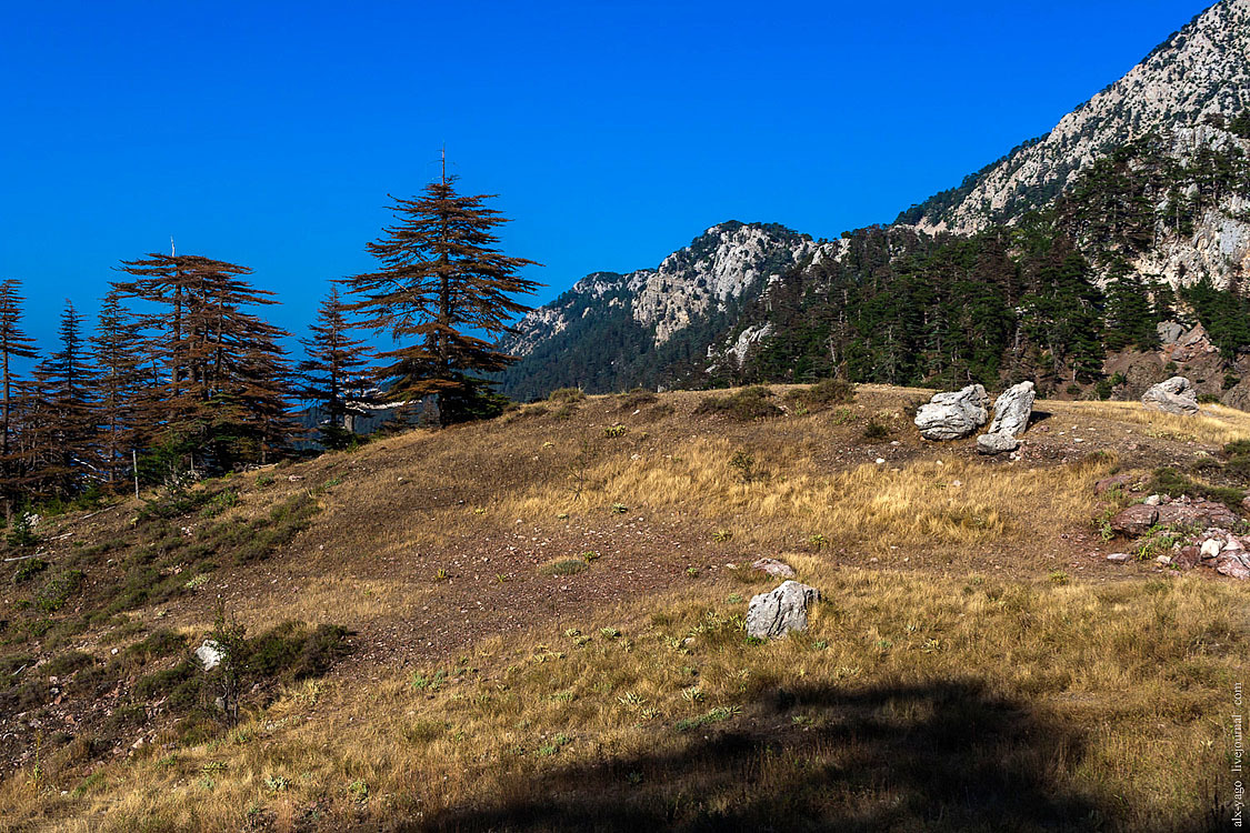 Elven path. - My, Travels, The photo, Tourism, Wild tourism, Hiking, The mountains, Longpost