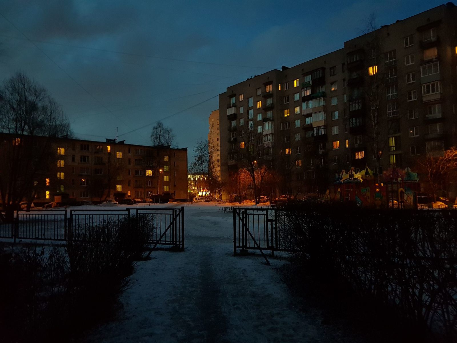 Walking with the dog - Blue evening. - My, Note 8, Saint Petersburg, Square, Walk, Meditation, German Shepherd, Longpost