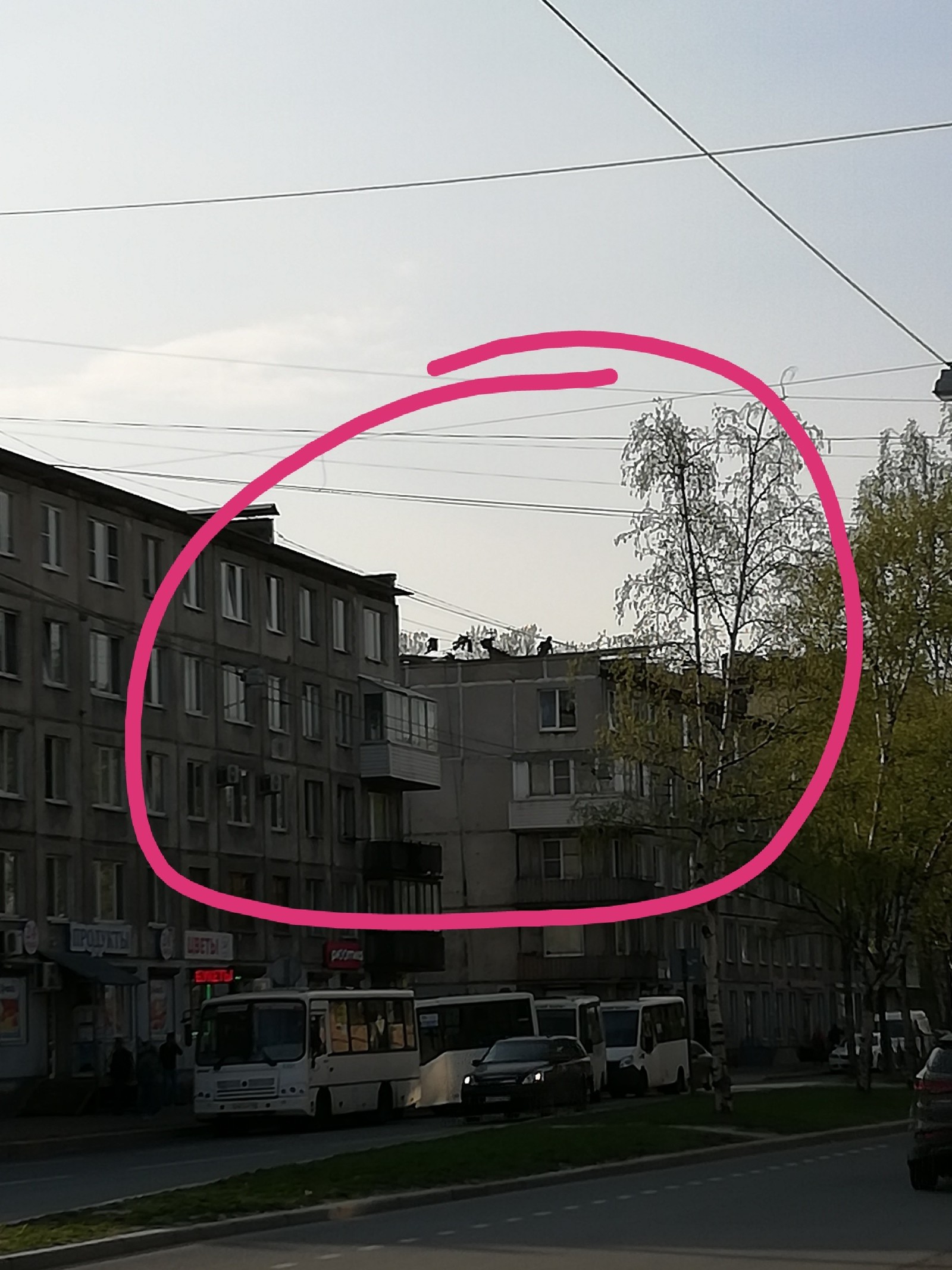 Топор | Пикабу