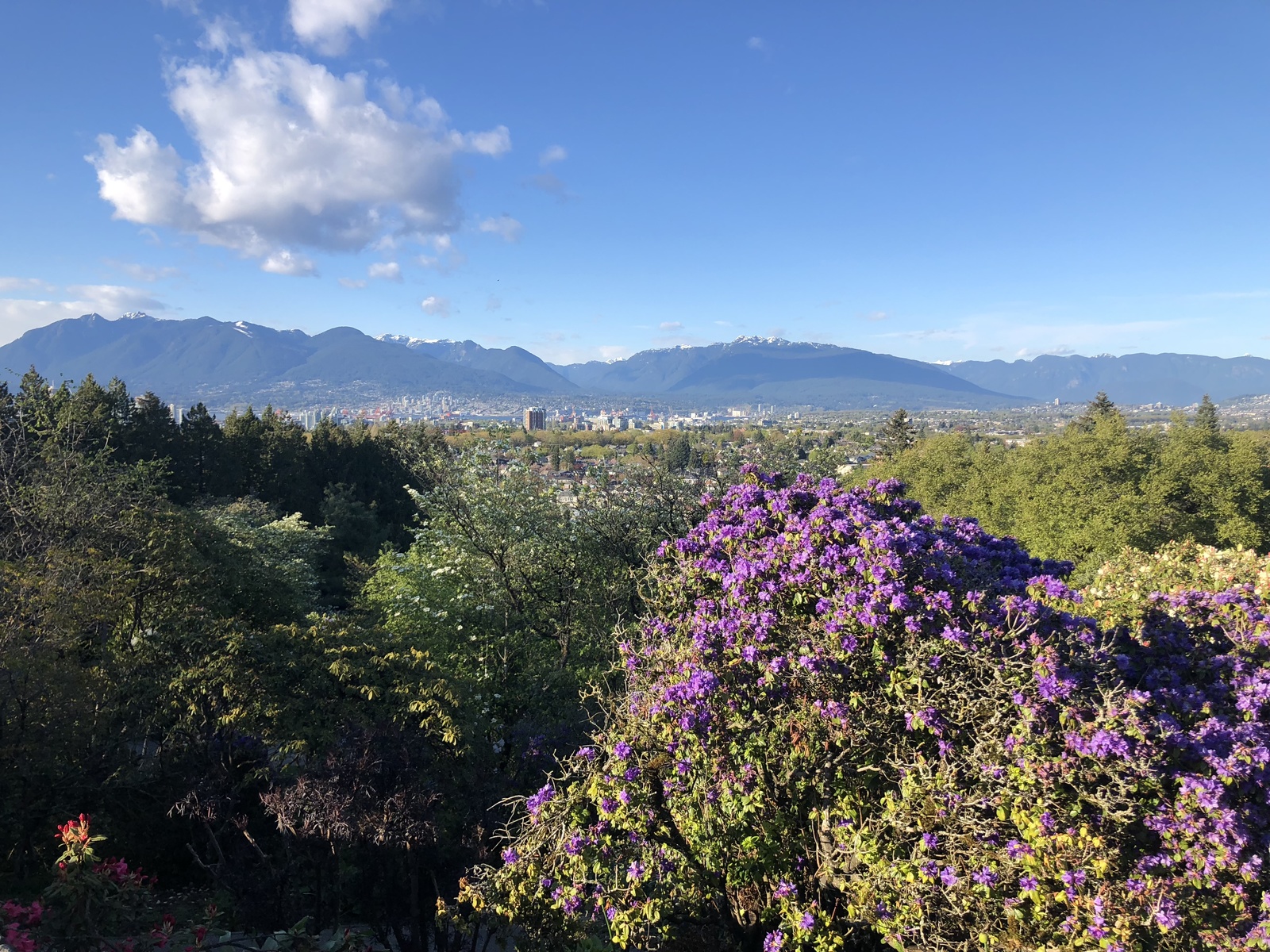 Queen Elizabeth Park, Vancouver, Canada - My, The park, Queen Elizabeth, Vancouver, Canada, Beautiful, The photo, Nature, sights, Longpost