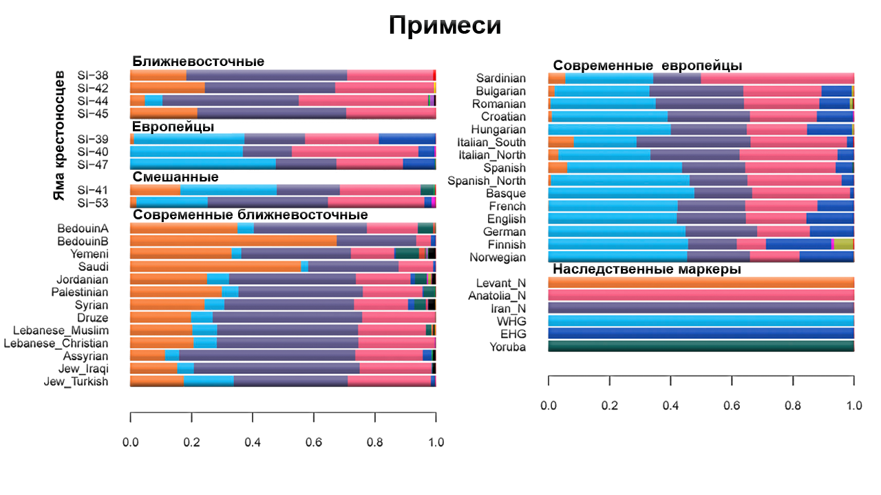 Как повлияли крестовые походы на генофонд населения Ближнего Востока - Моё, Наука, Археология, Крестоносцы, Крестовый поход, Средневековье, Длиннопост, Популяционная генетика, Видео, История