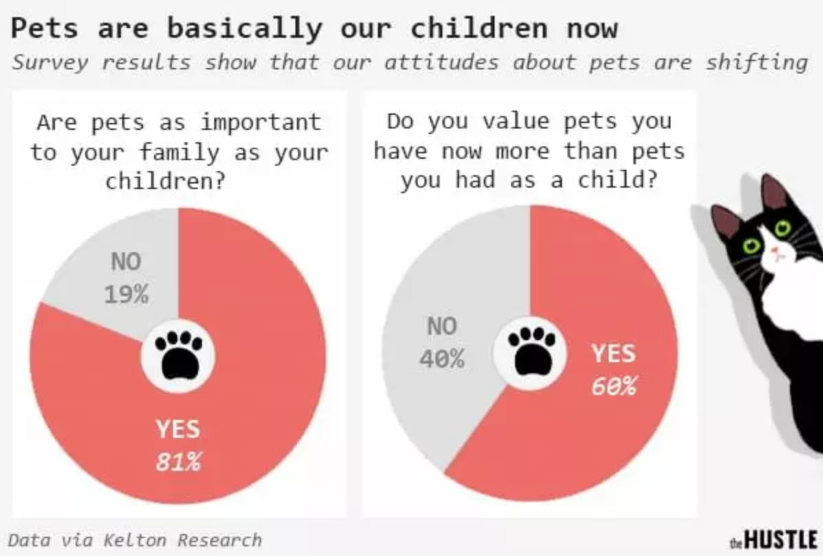 81% владельцев домашних животных в США говорят, что ценят своих питомцев так же, как детей - Новости, США, Америка, Общество, Люди, Скриншот