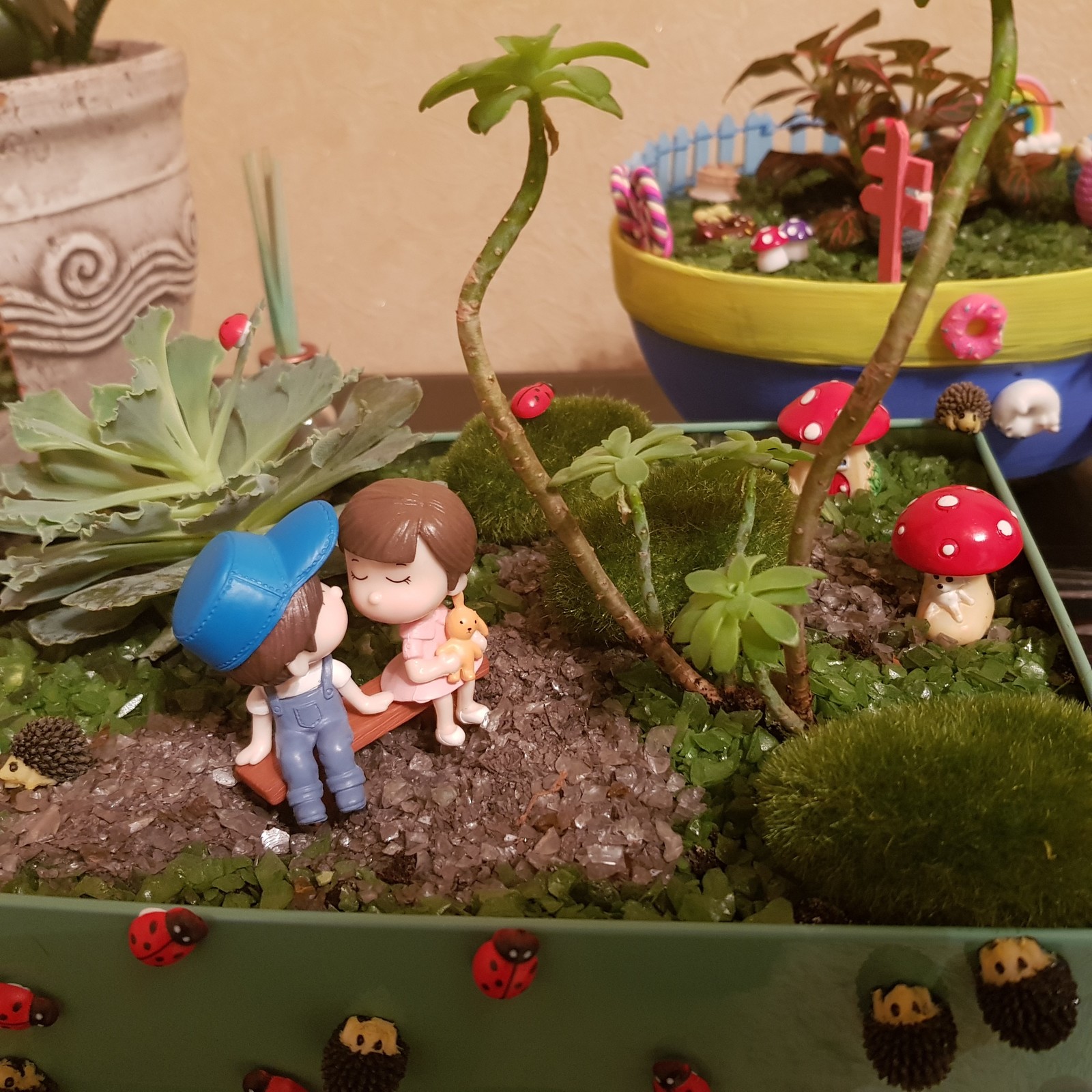 My little hobby - My, Garden, Flowers, Miniature, Hobby, Longpost