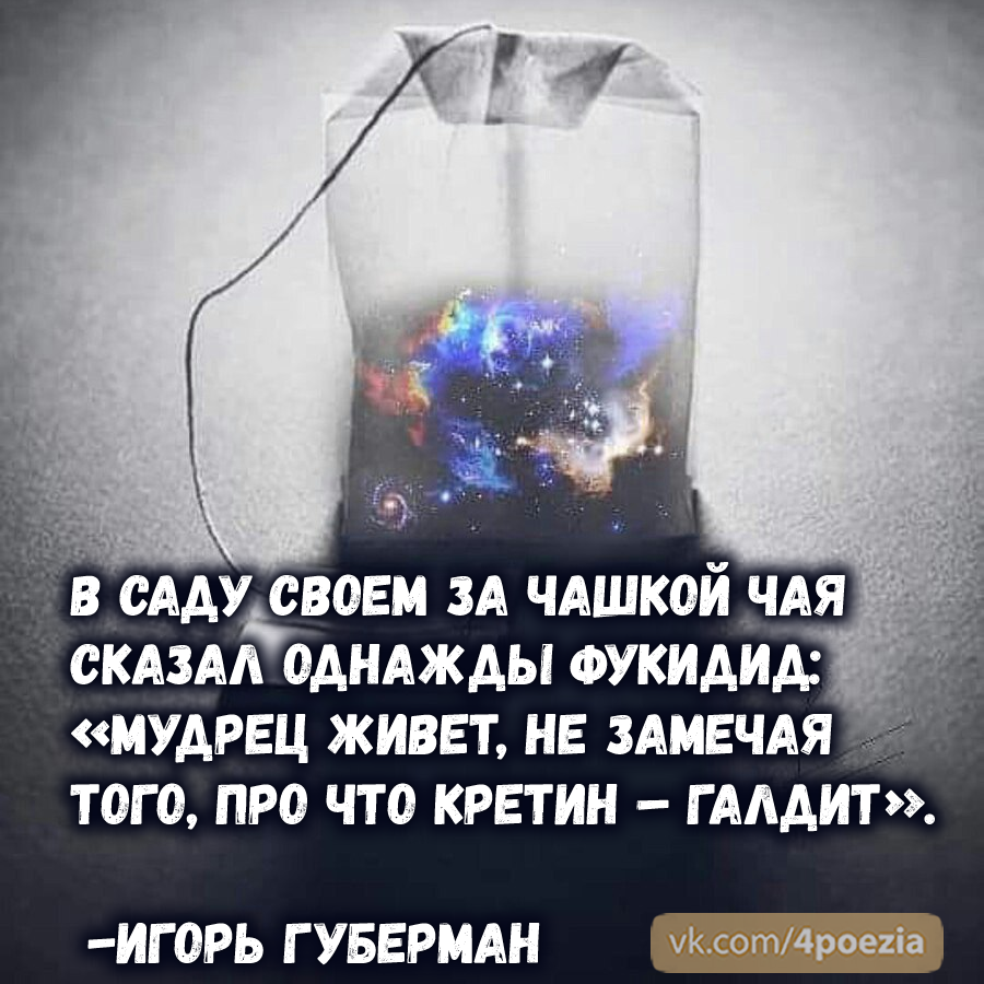 Игорь Губерман - Губерман, Игорь Губерман, Стихи, Поэт, Лига поэтов, Поэзия, Стишки-Порошки, Длиннопост