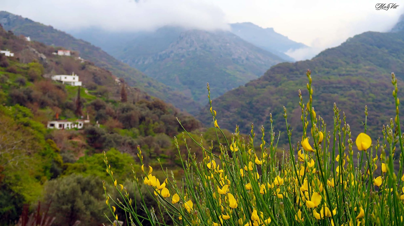 The beauties of southwestern Evia - My, Greece, Evia, Island, Nature, Video, Longpost