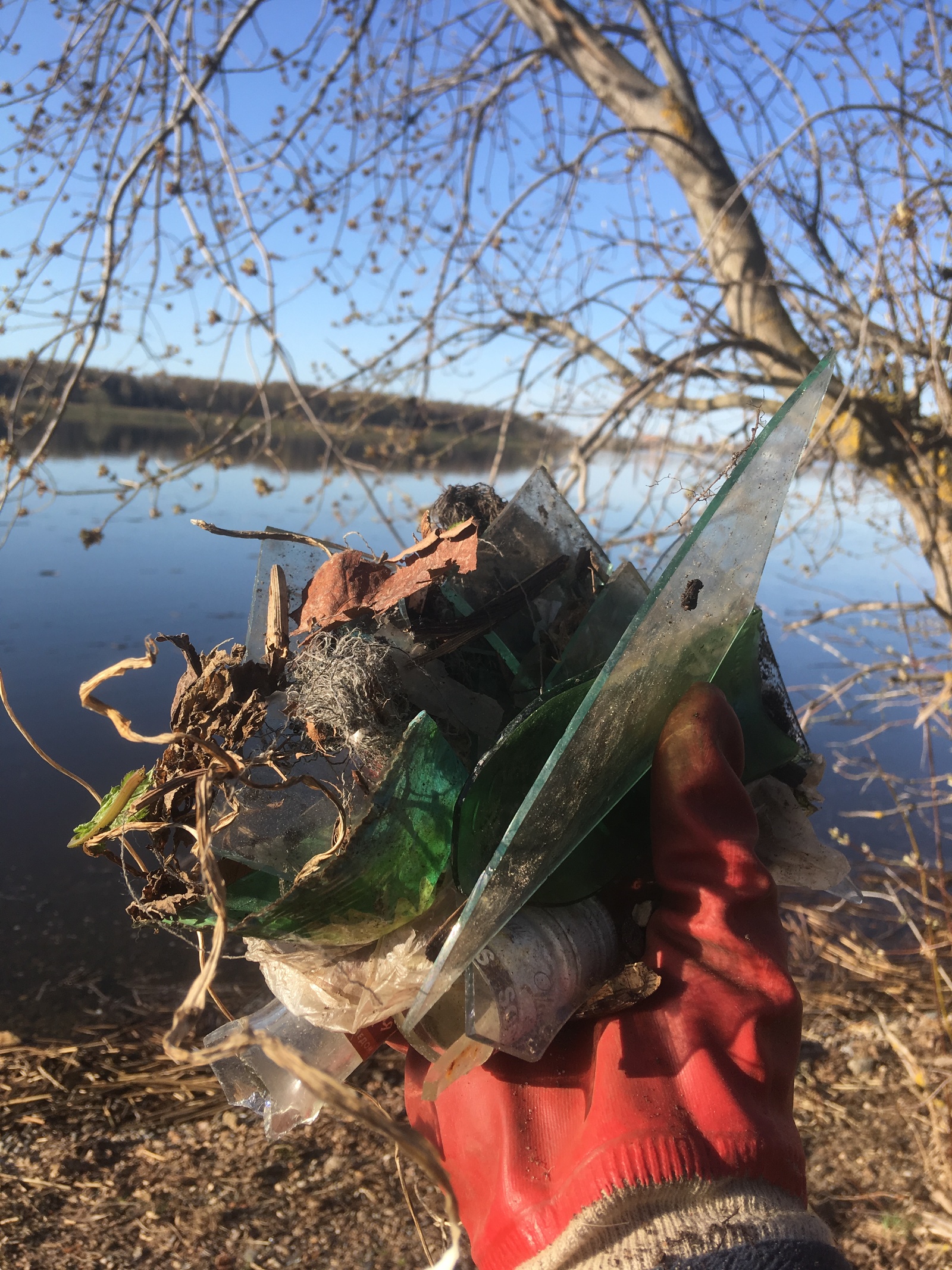 #TRASHTAG 17.0 «Шашлык» - Кострома, Лига чистомэна, Субботник, Шашлык, Мусор, Река Волга, Длиннопост