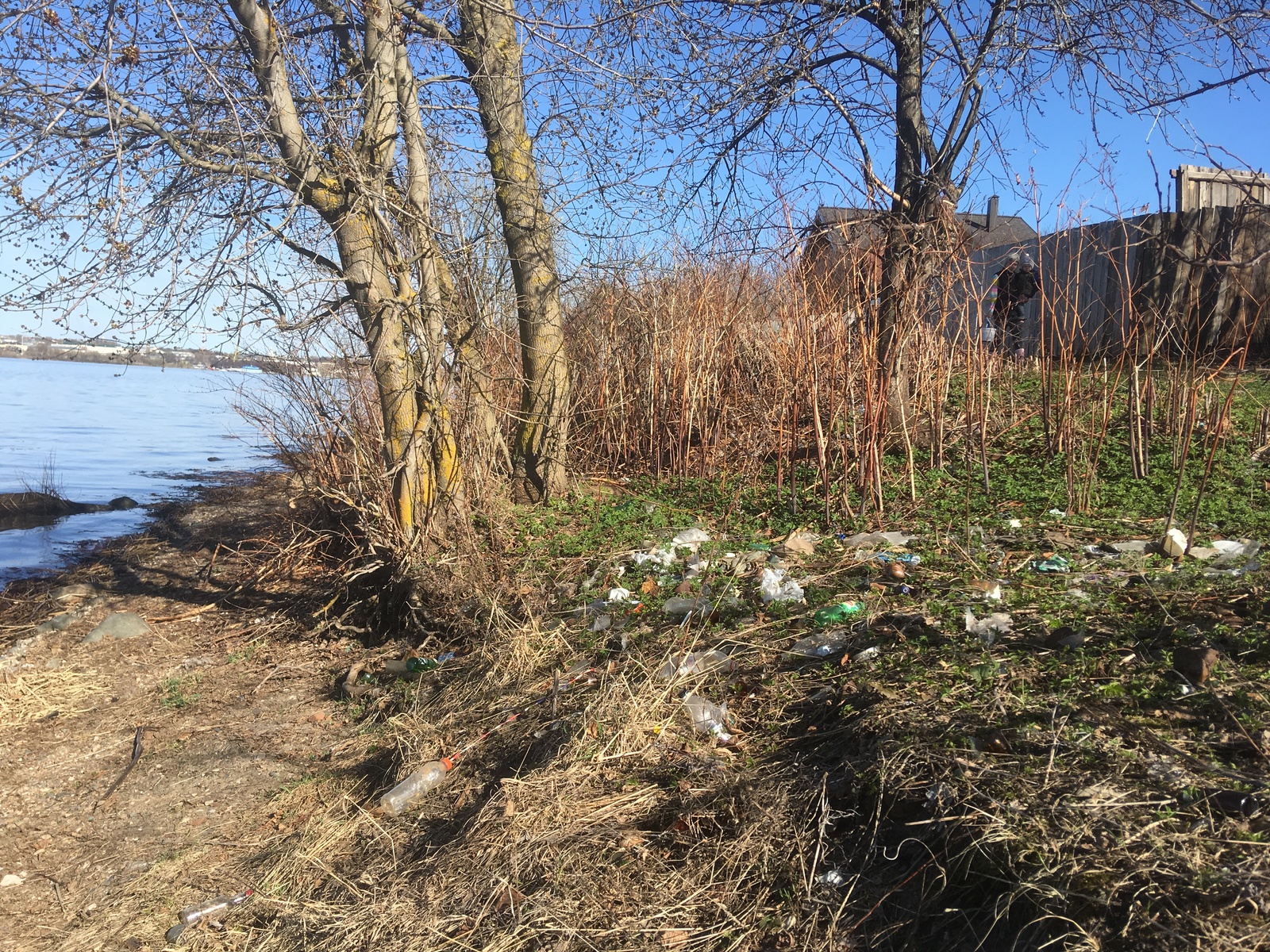 #TRASHTAG 17.0 «Шашлык» - Кострома, Лига чистомэна, Субботник, Шашлык, Мусор, Река Волга, Длиннопост