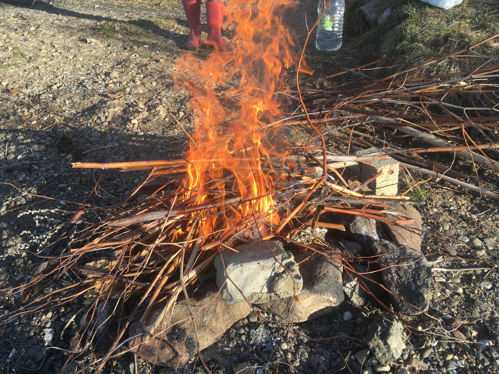 #TRASHTAG 17.0 Shashlik - Kostroma, Pure Man's League, Saturday clean-up, Shashlik, Garbage, Volga river, Longpost