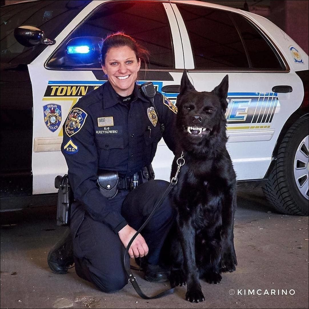 Threat of Crime - Police, Dog, Grin, From the network