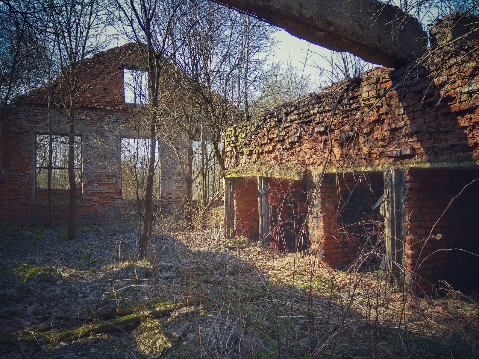 Заброшенные кирпичные дома в деревне