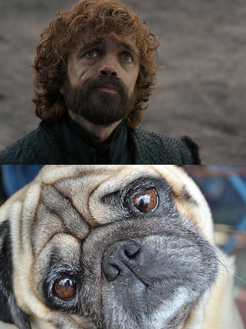 Oh please! - Game of Thrones, Tyrion Lannister, Spoiler