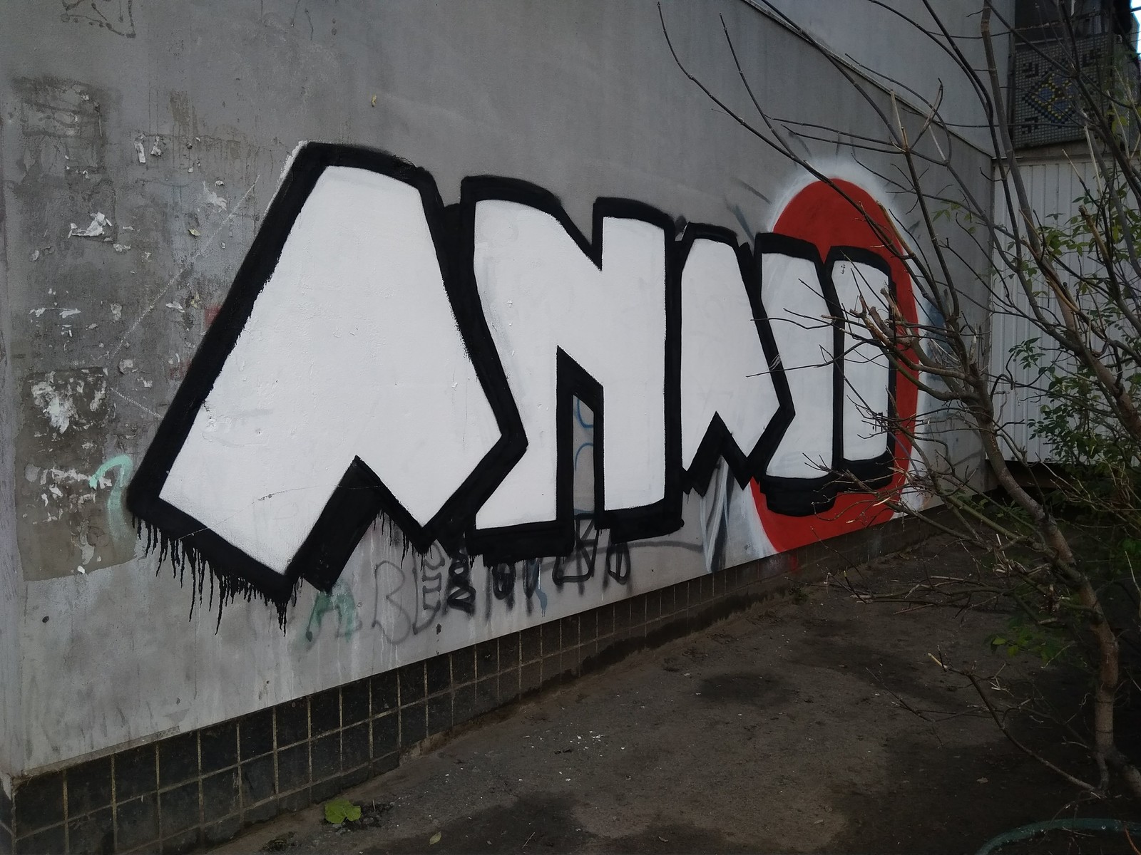 ANADO - Odessa, The Wall, Letters