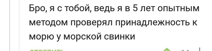 Жестокое обращение с животными - Скриншот, Юмор, Черный юмор, Животные, Домашние животные, Кот