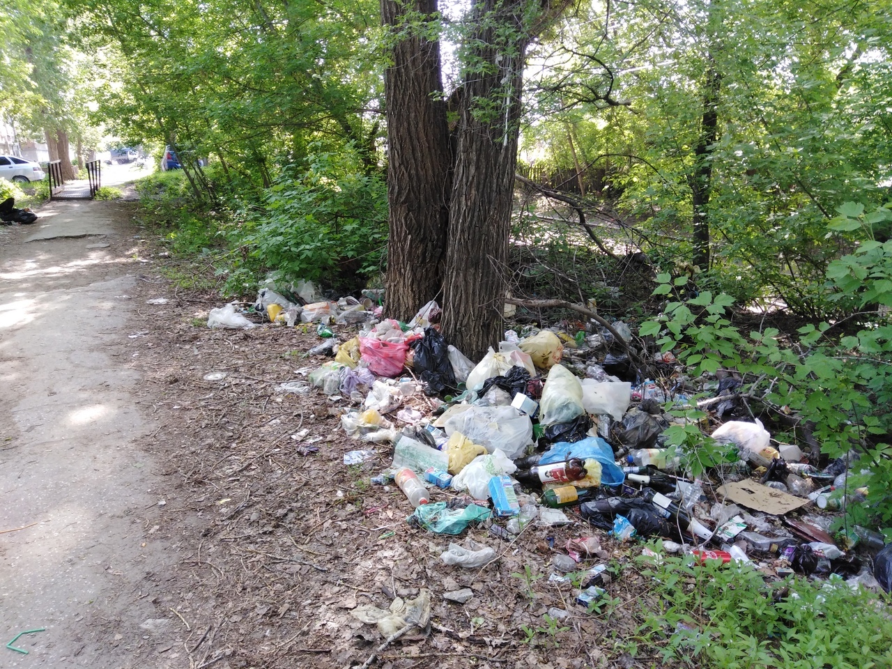 Мусор в городе картинки