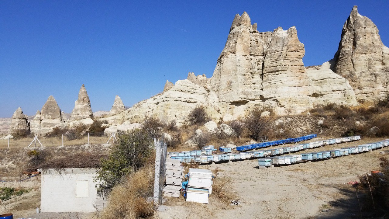 How to fly in a hot air balloon in Cappadocia. Prices, housing and personal experience - My, Turkey, Cappadocia, Balloon, Flight, Longpost, Video