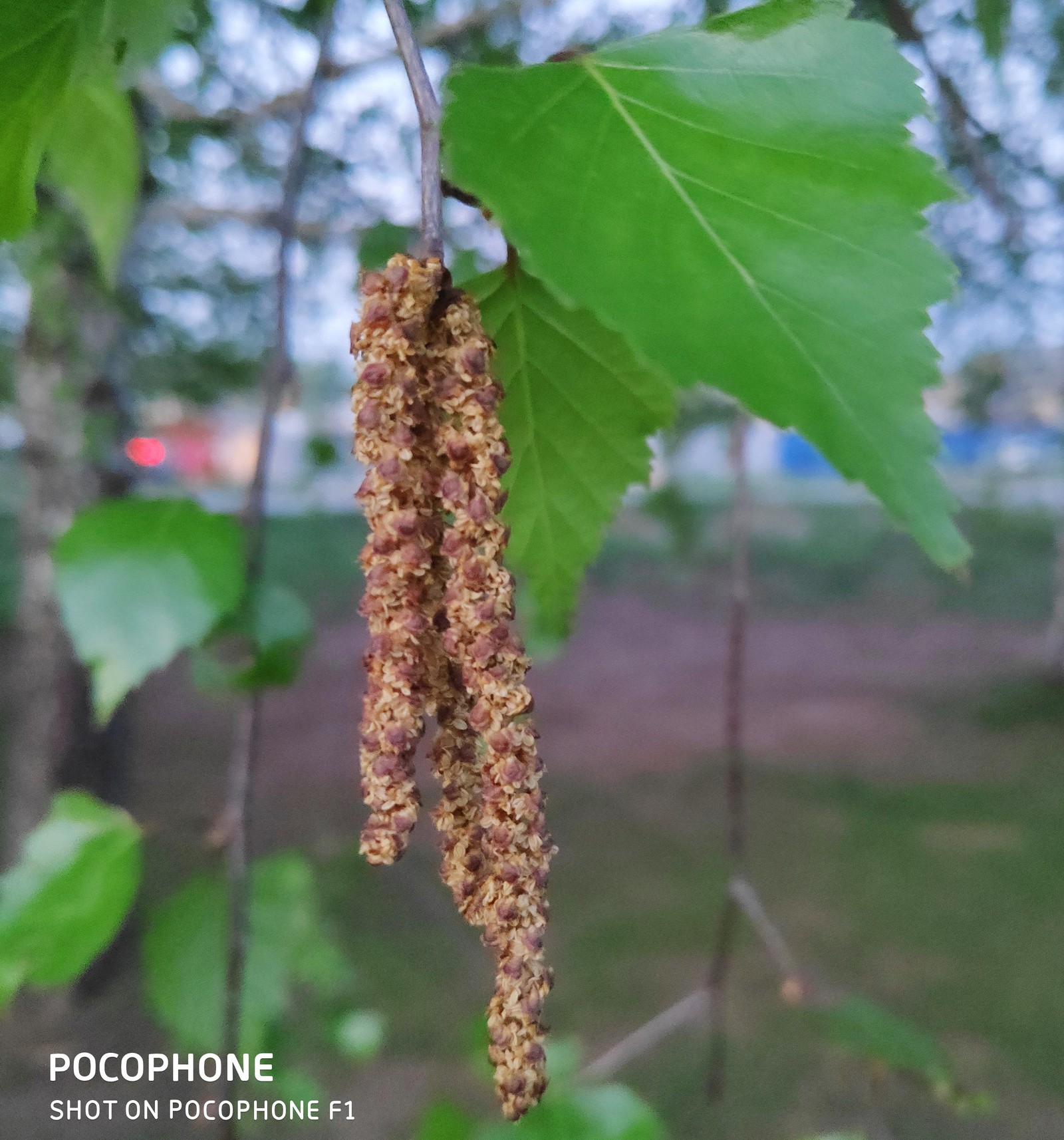 Начинающий фотограф ( фотограф самоучка ) - Моё, Фото на тапок, Начинающий фотограф