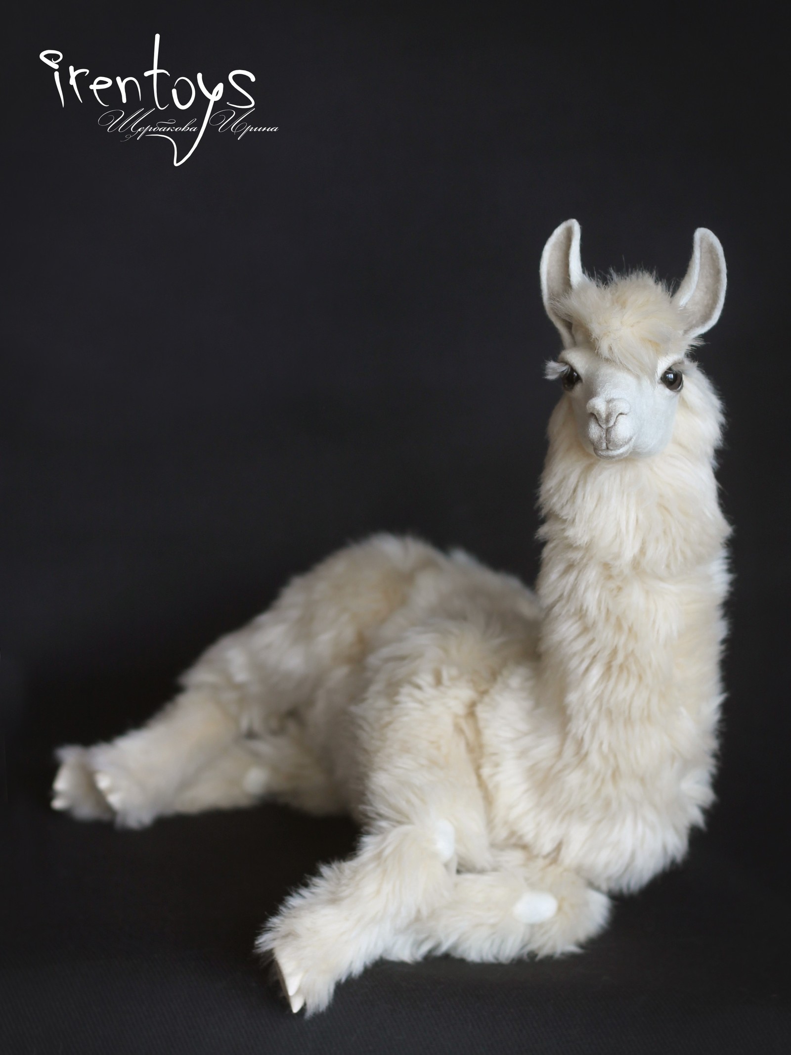 Lama [author's toy] - My, Needlework without process, Needlework, Llama, Handmade, Realism, , Longpost