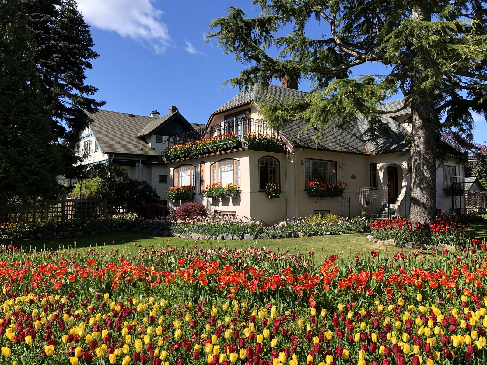 Canada - My, Canada, House, The street, Road, Longpost