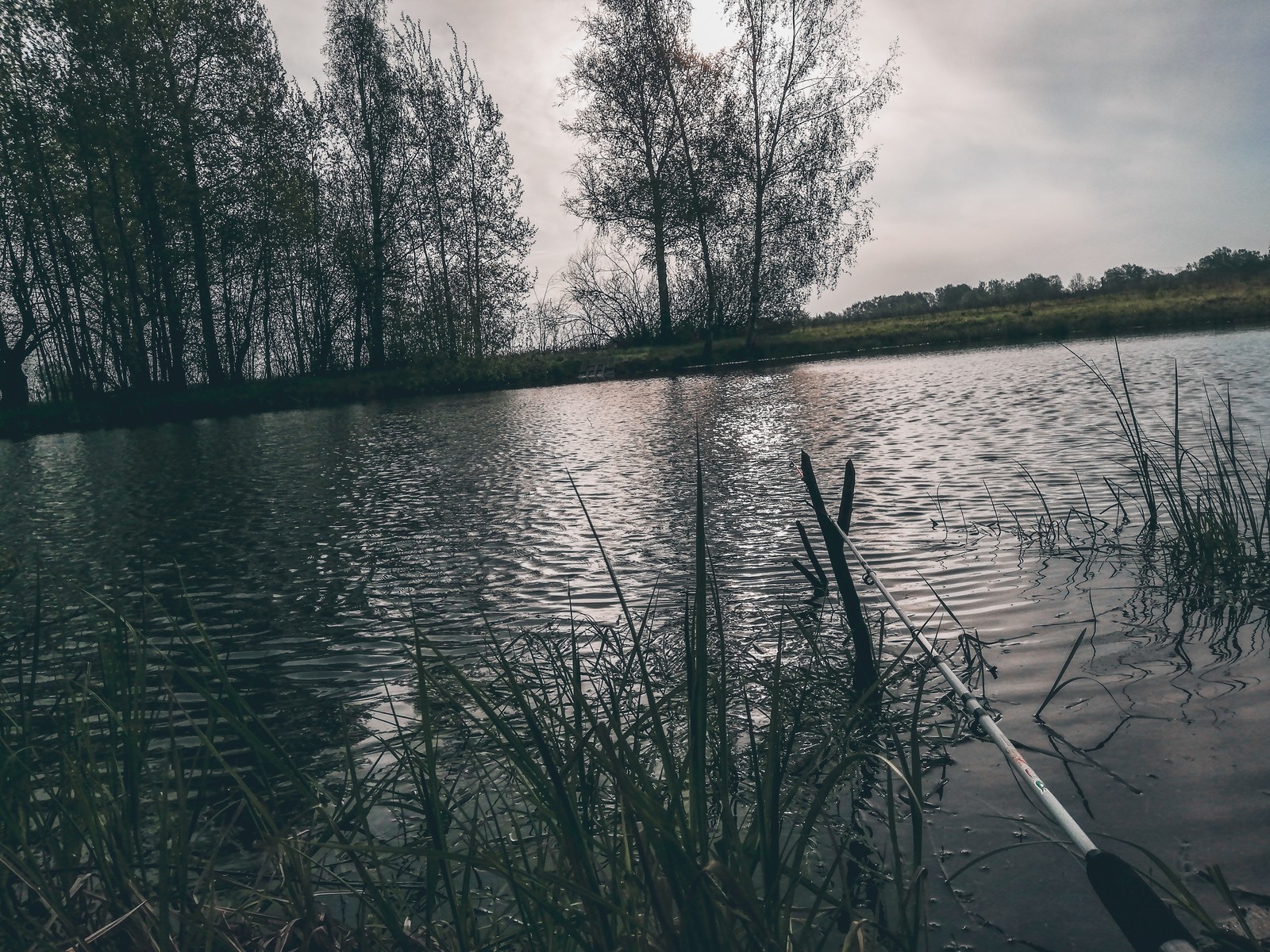 Beauty, recreation - My, Relaxation, Fishing, Tent, River, Fog, Pond, Longpost, Nature