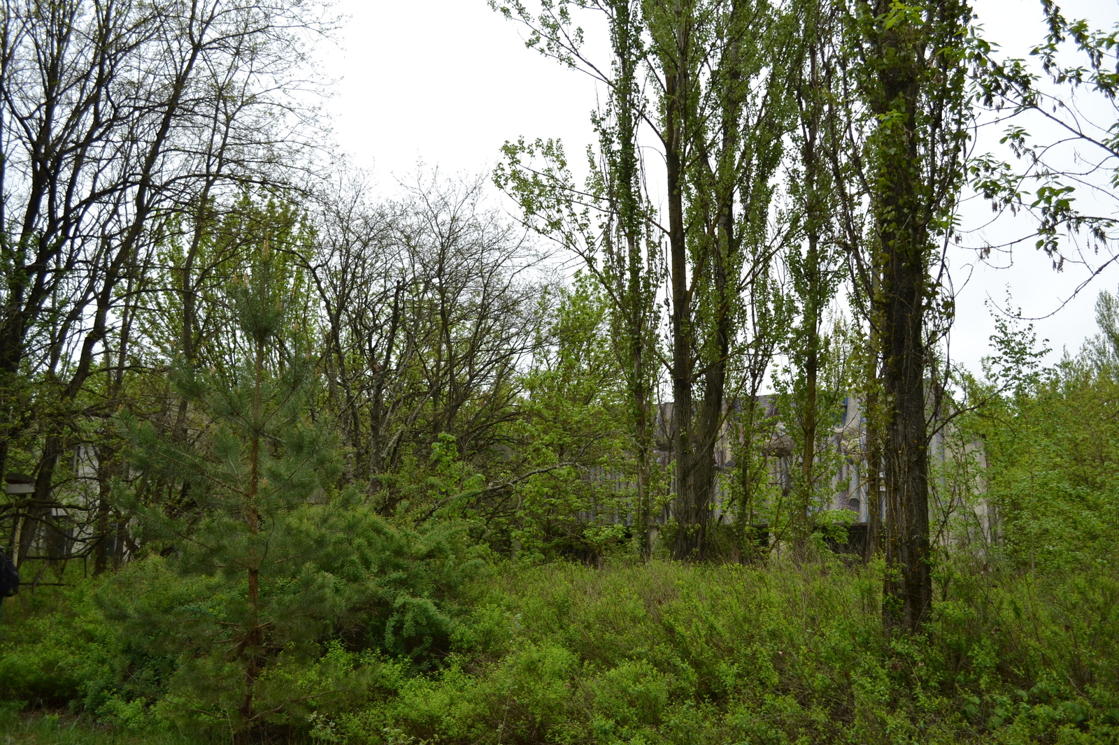 Pripyat, May 2019 - My, The photo, Pripyat, Longpost