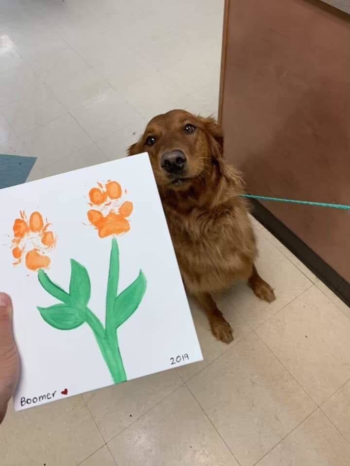 Artist - Dog, Drawing, Paws, Flowers