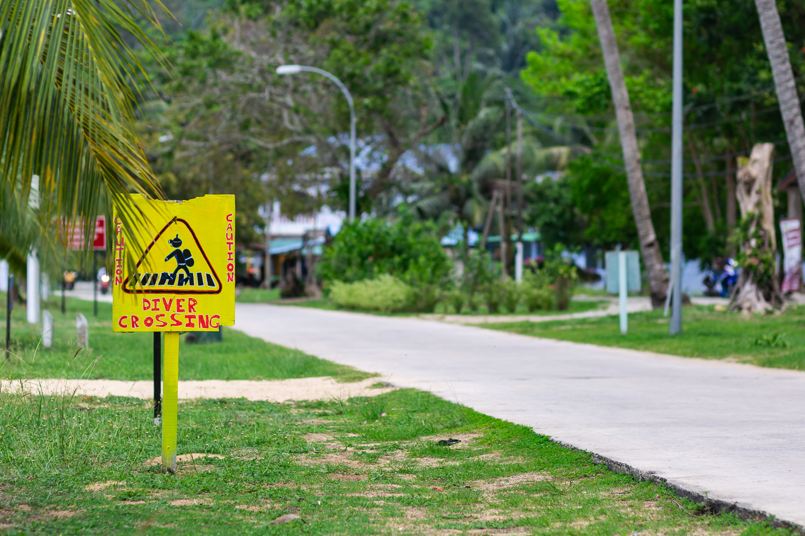 No return ticket needed 6. Tioman - My, Travels, Malaysia, Tioman, Paradise, Paradise Island, Snorkeling, Jungle, Video, Longpost