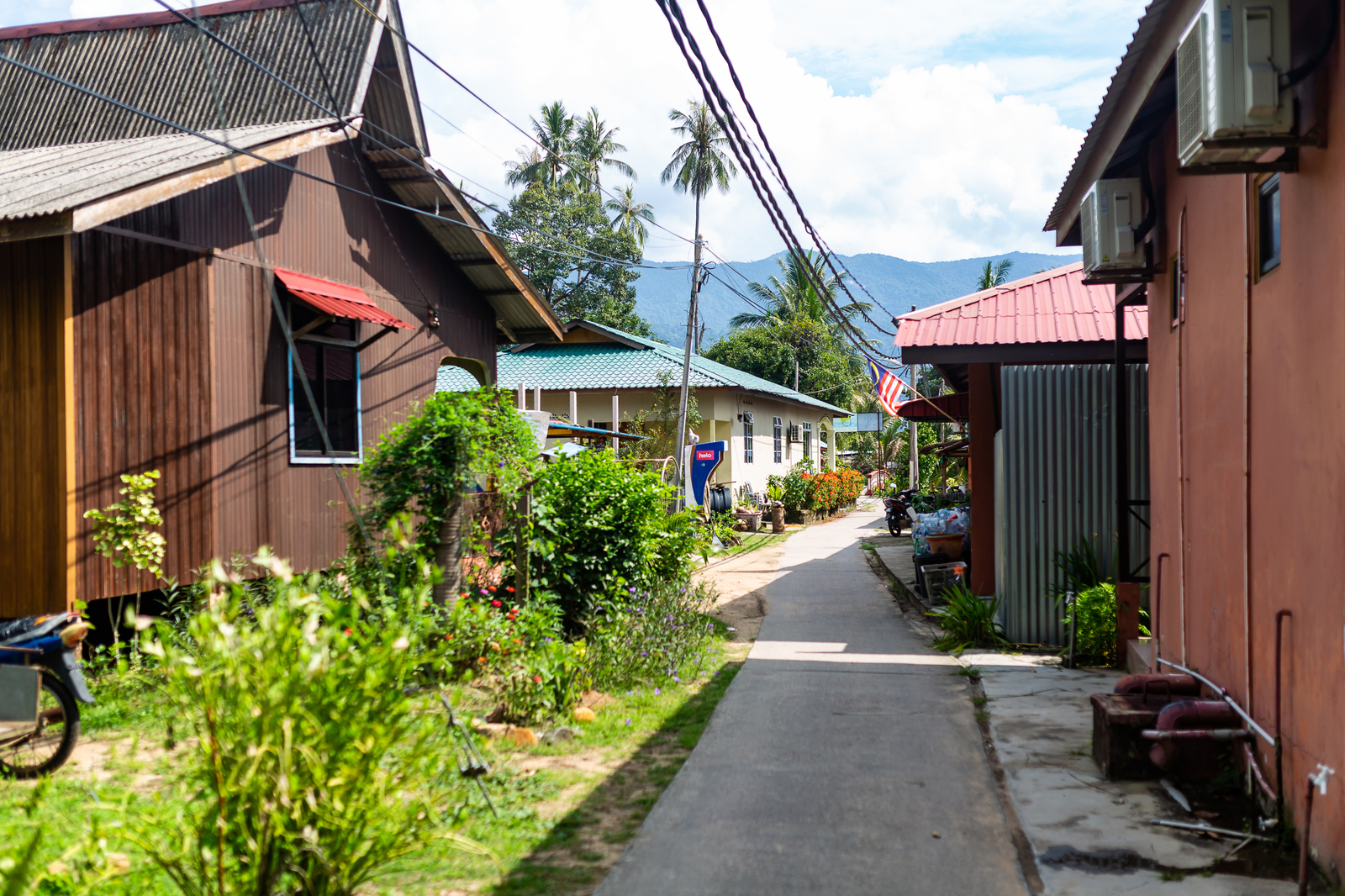 No return ticket needed 6. Tioman - My, Travels, Malaysia, Tioman, Paradise, Paradise Island, Snorkeling, Jungle, Video, Longpost