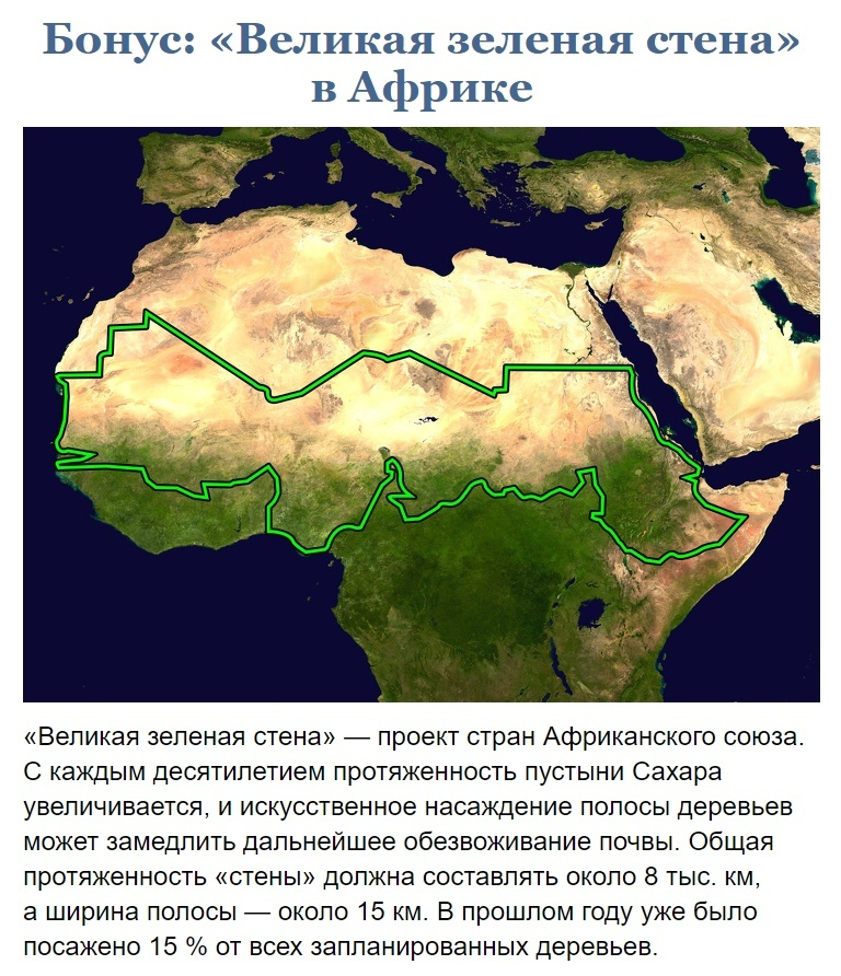 Великая зеленая стена в Африке. Проект зеленая стена в Африке. Проект Великая зеленая стена. Сахель зеленая стена.