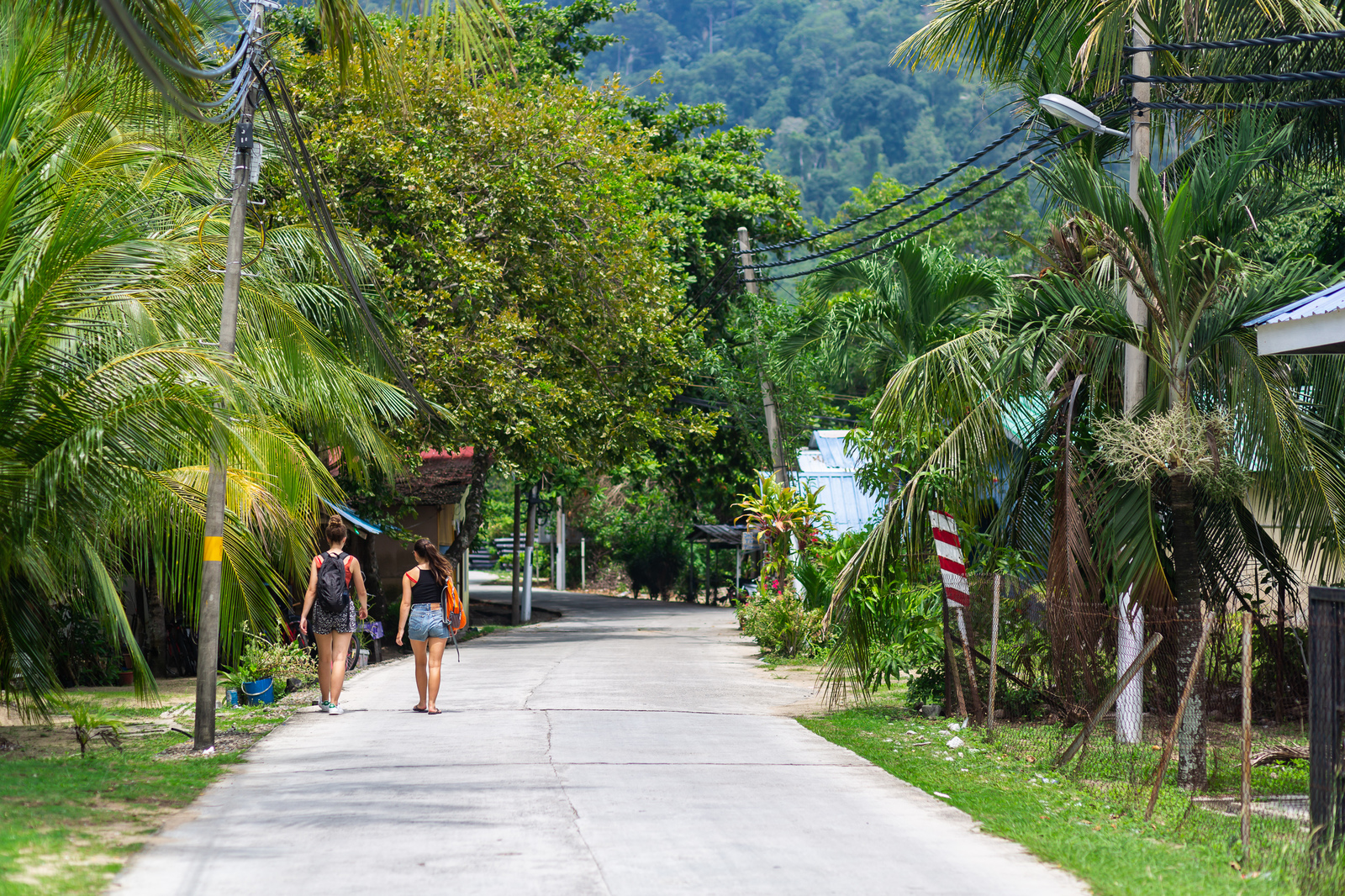 No return ticket needed 6. Tioman - My, Travels, Malaysia, Tioman, Paradise, Paradise Island, Snorkeling, Jungle, Video, Longpost