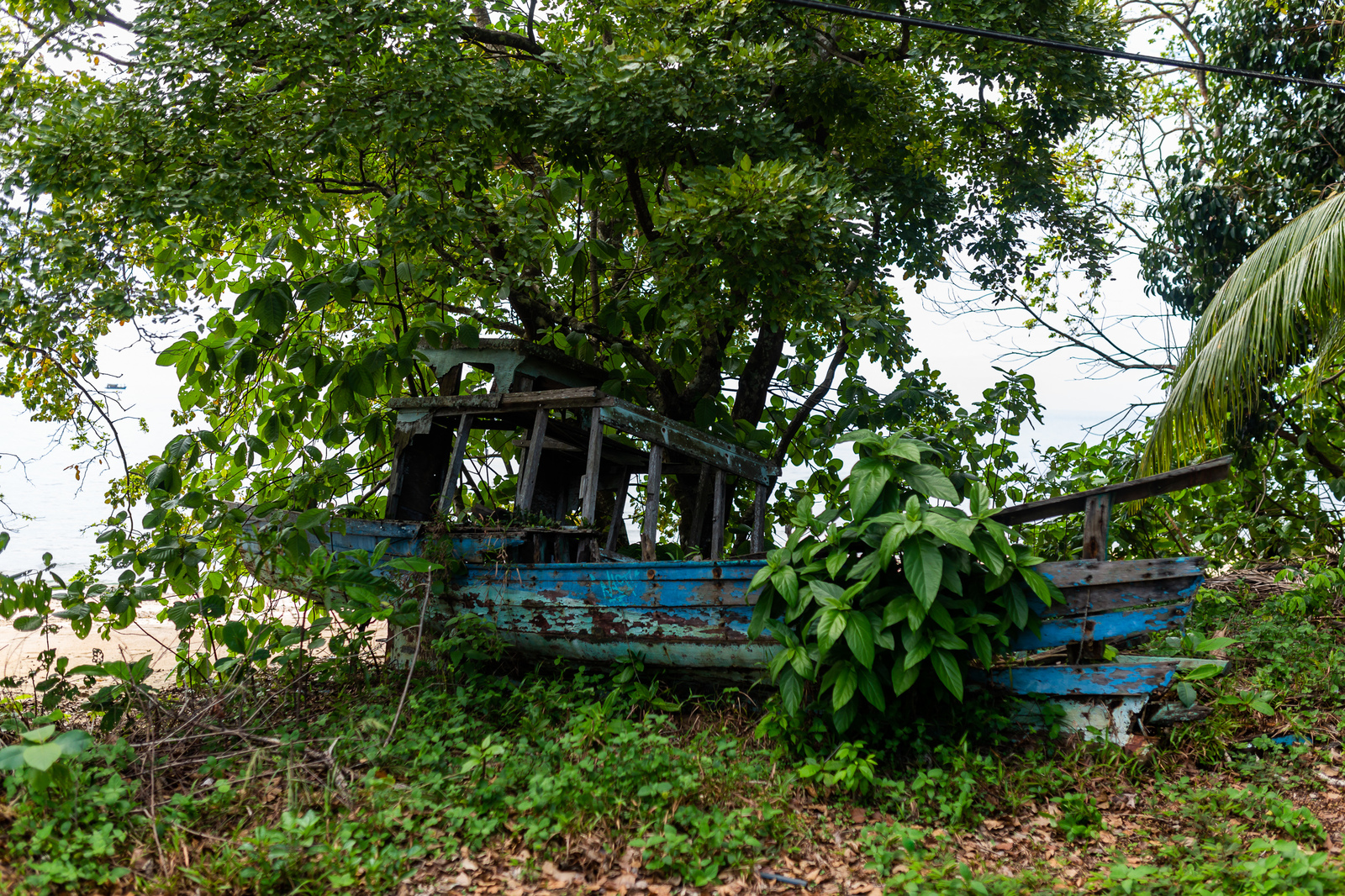 No return ticket needed 6. Tioman - My, Travels, Malaysia, Tioman, Paradise, Paradise Island, Snorkeling, Jungle, Video, Longpost