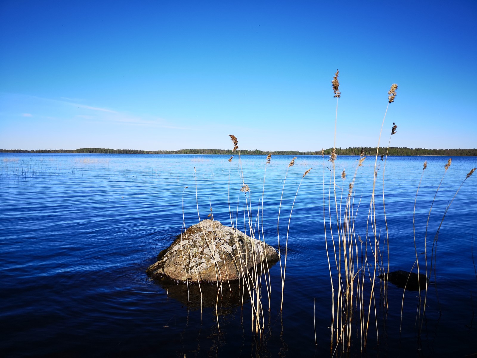 Some photos from Vuoksa - My, Vuoksi, Kayak, Nature, Longpost