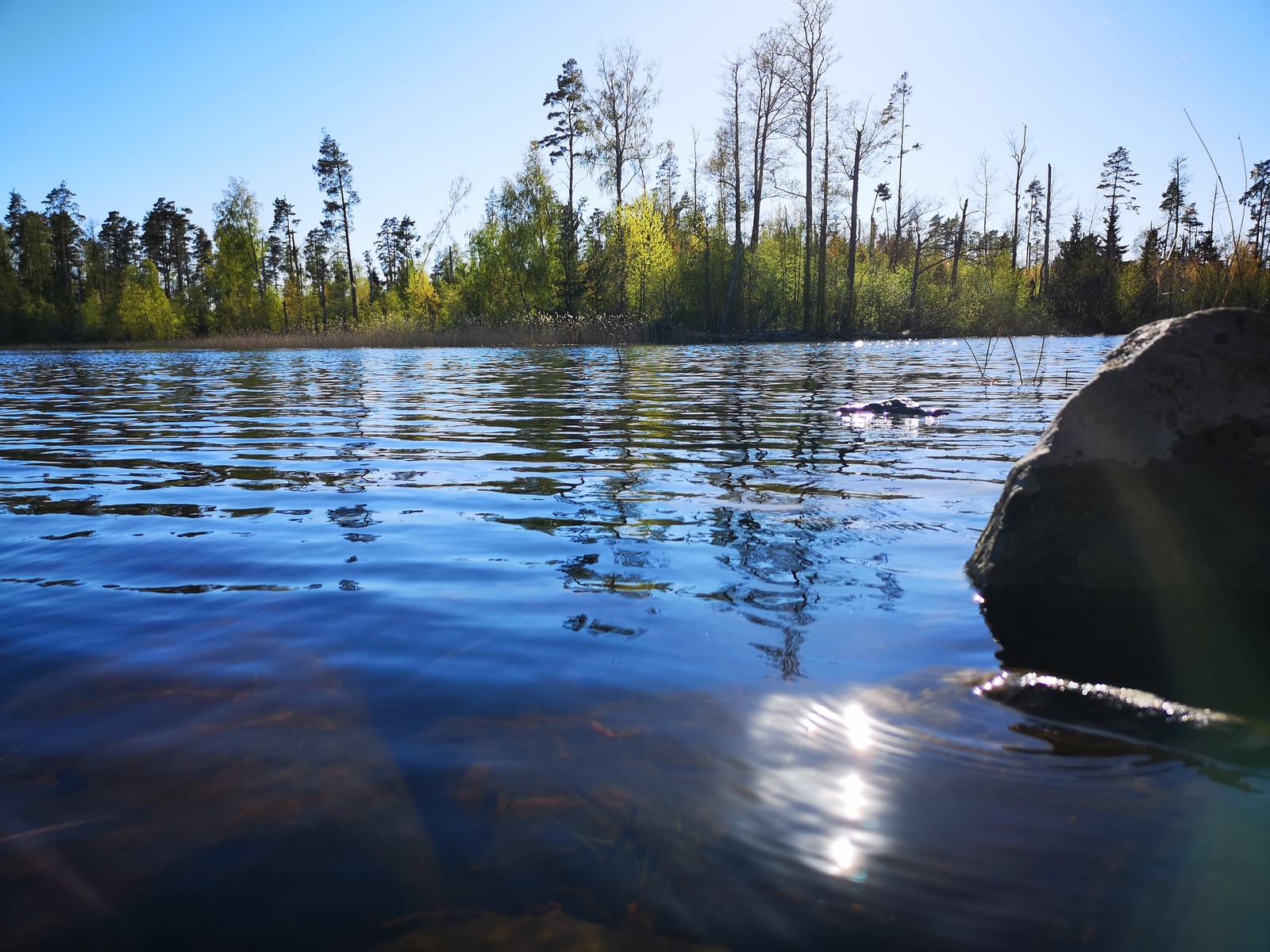 Some photos from Vuoksa - My, Vuoksi, Kayak, Nature, Longpost