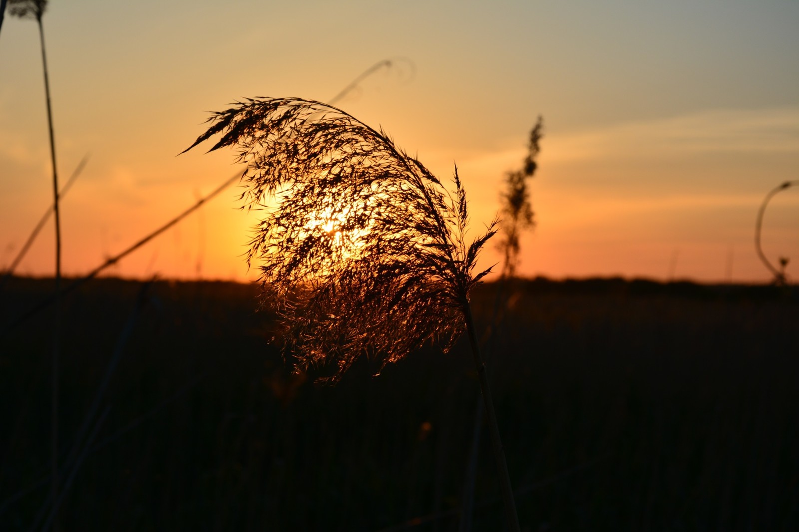 Cycling with a camera - My, The photo, Bike ride, Longpost