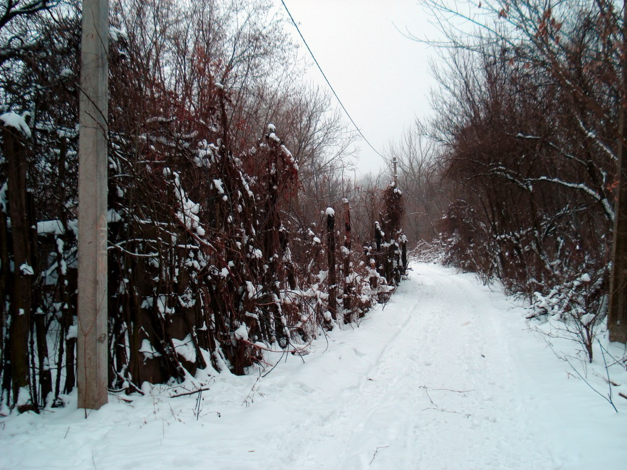 Winter - My, Snow, Longpost, Winter, December