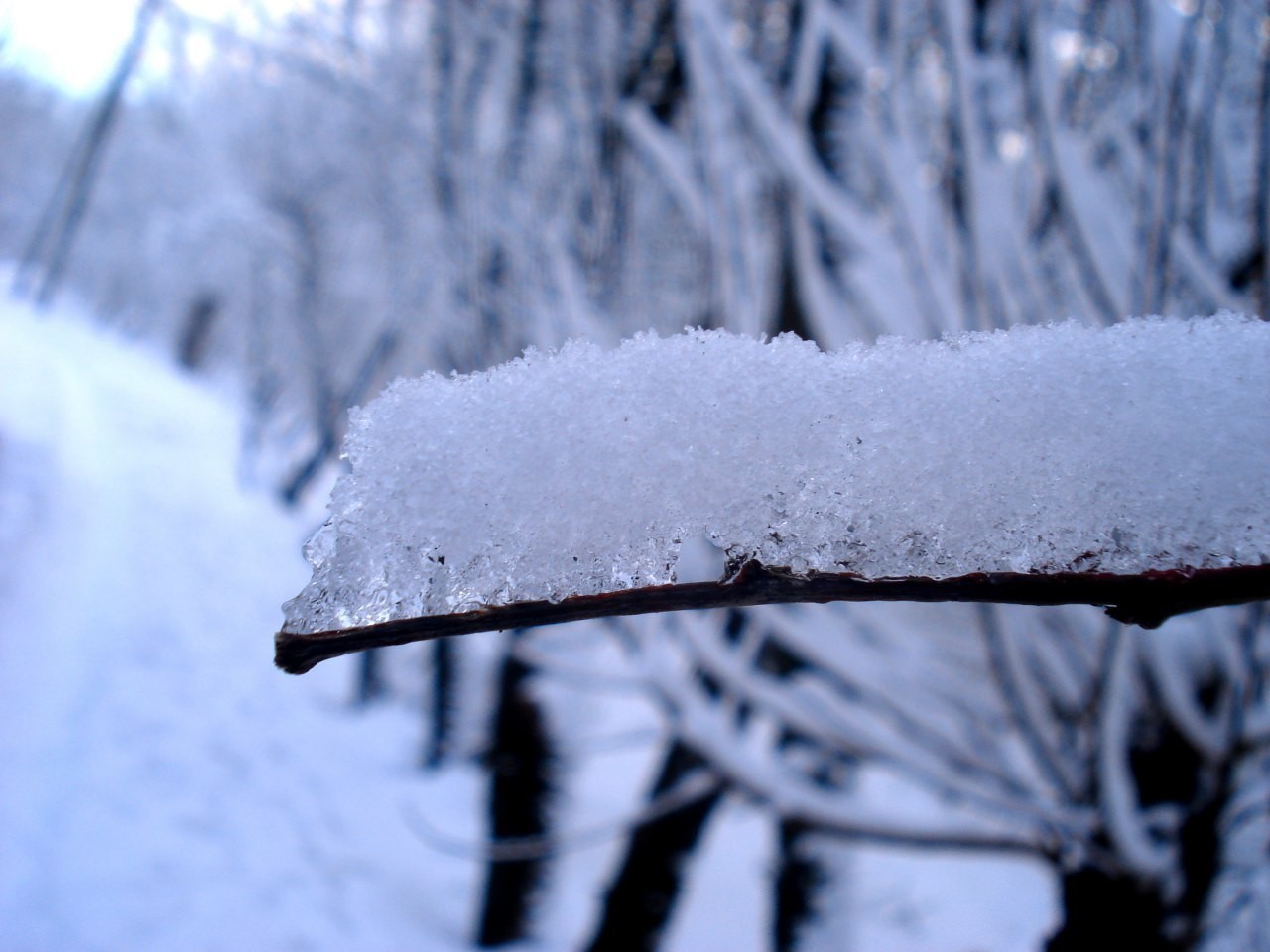 Winter - My, Snow, Longpost, Winter, December