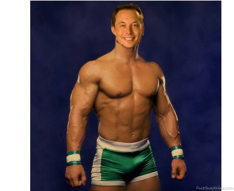 And his name is..... John Musk? Elon Cena? - My, Elon Musk, John Cena