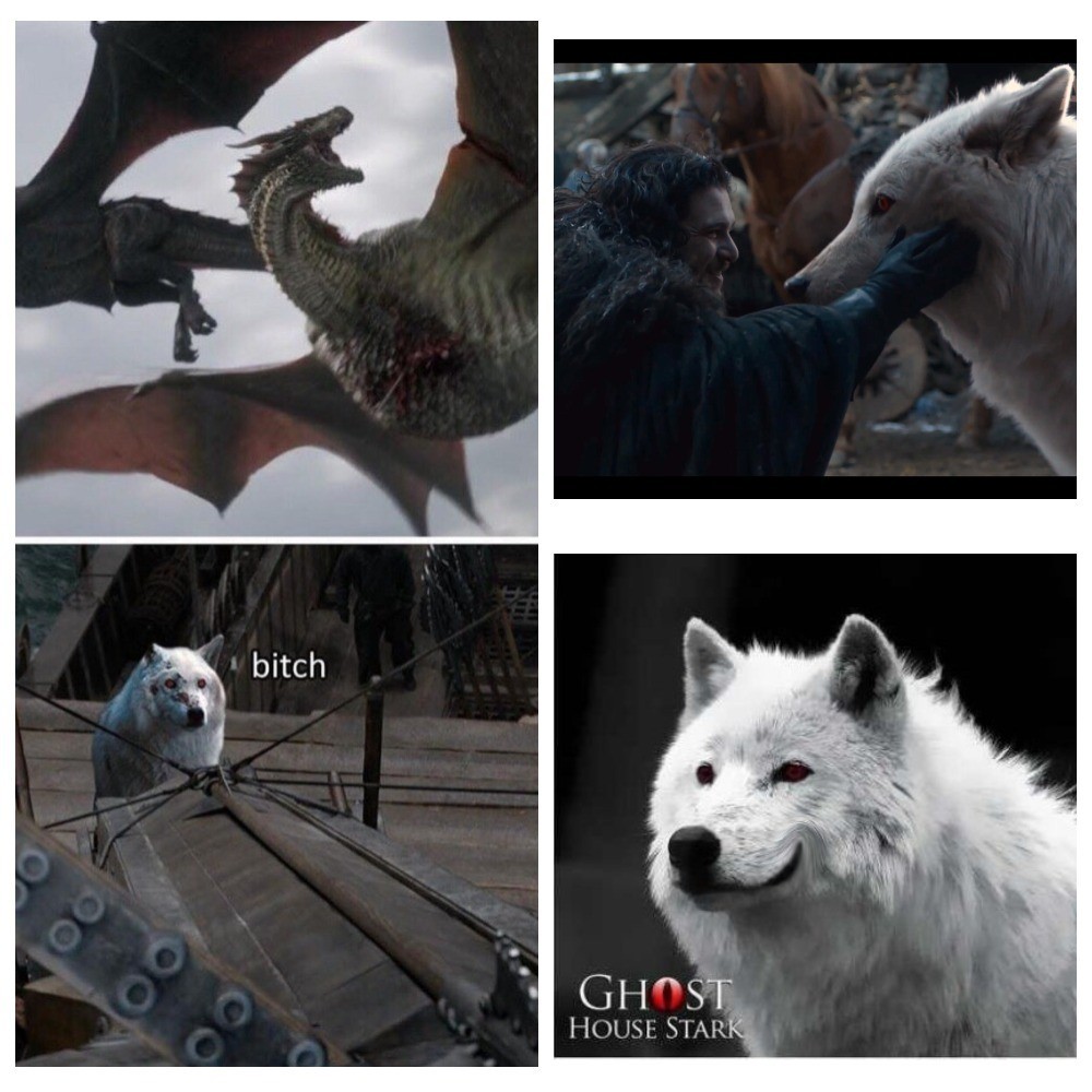 It was all the Ghost's plan - Game of Thrones, Призрак, Spoiler