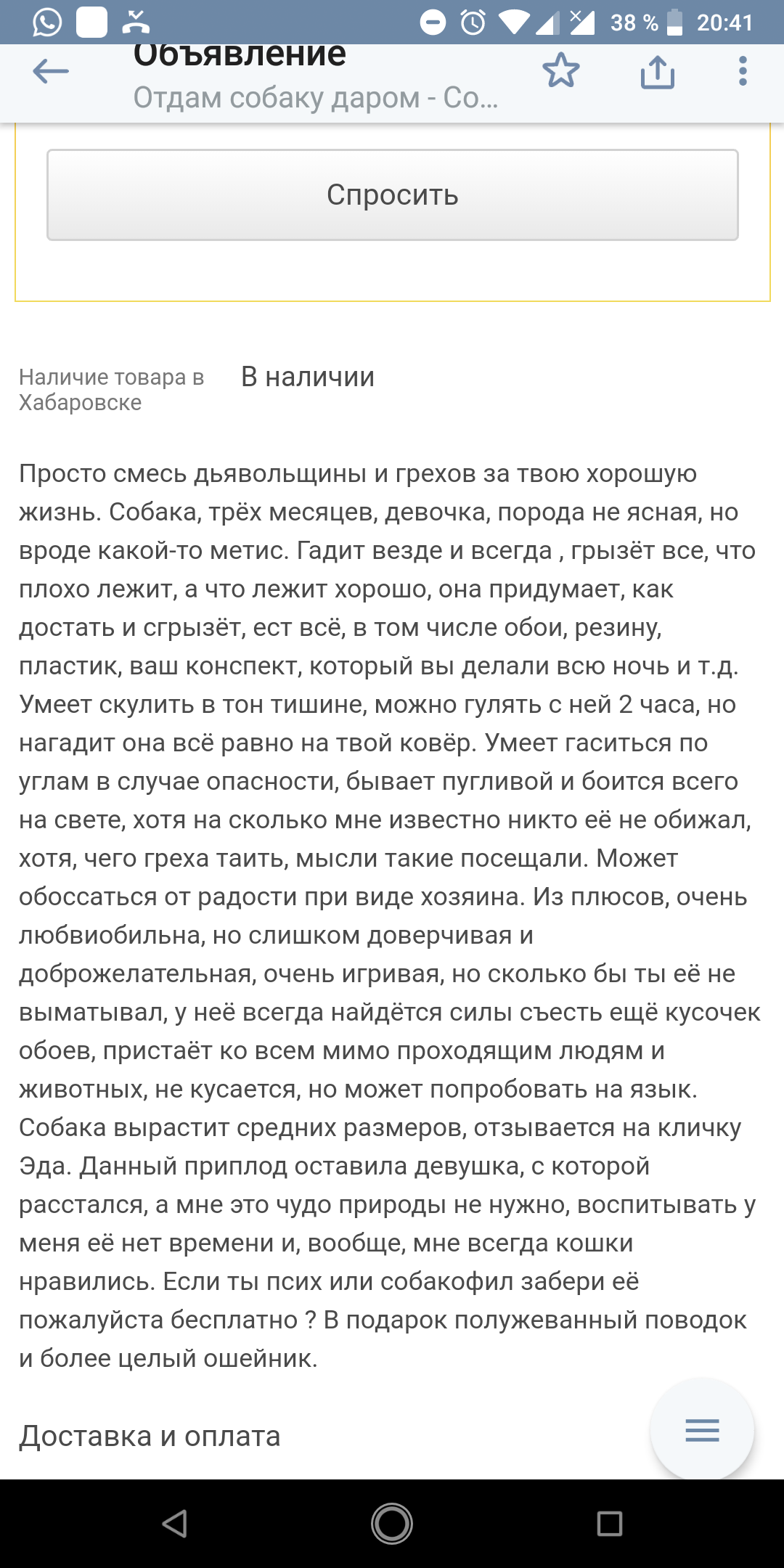 Психанул... - Моё, Осторожно злая собака, Объявление, Психанул, В добрые руки, Длиннопост