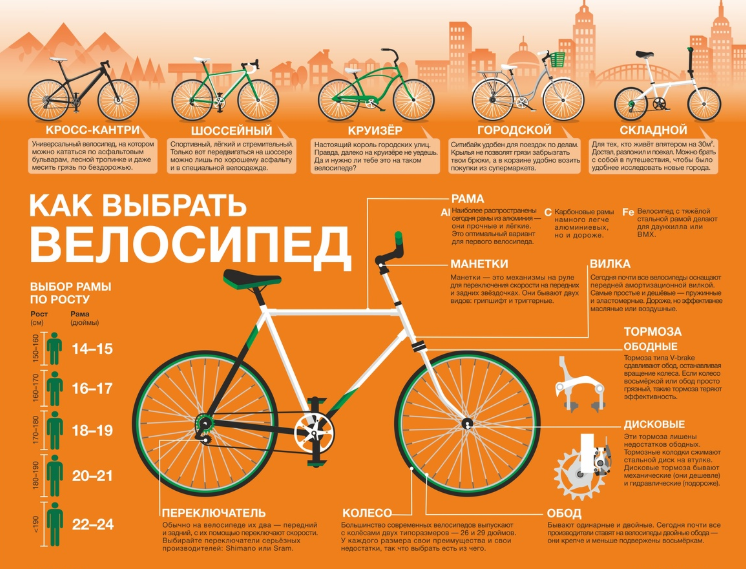 There are points in the sportmaster. - My, Points, Sport, A bike, Discount for pickabushniks, Sportmaster, Discounts