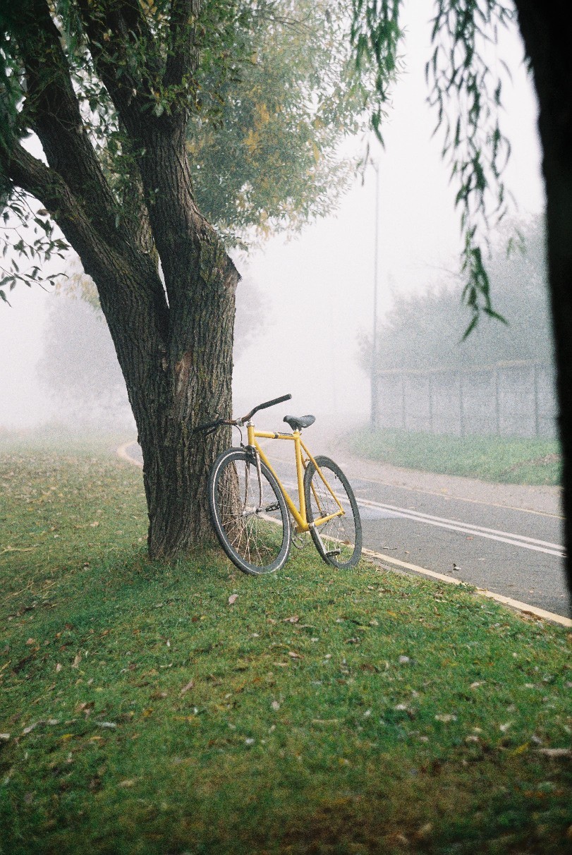 Bicycle in the city - My, A bike, Minsk, , Cycling season, Longpost