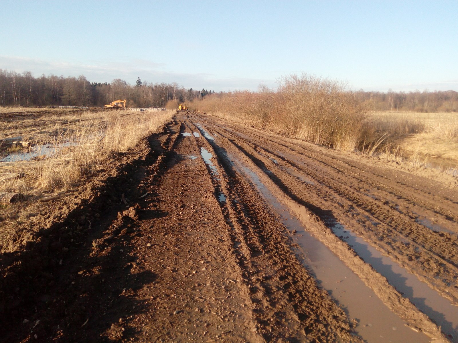 Getting ready to settle eared - My, Farm, Construction, Rabbit, Longpost