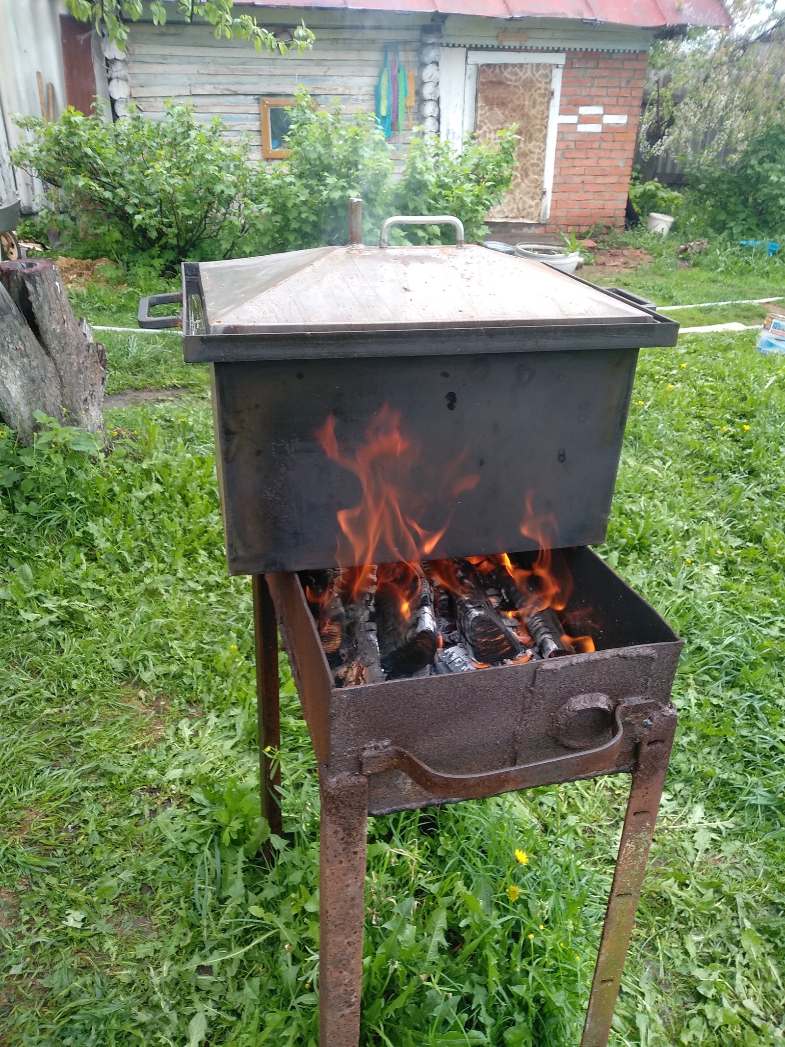 Smokehouse tests - My, Mens food, Vacation, Hot smoking, Longpost, Smokehouse, Men's cooking