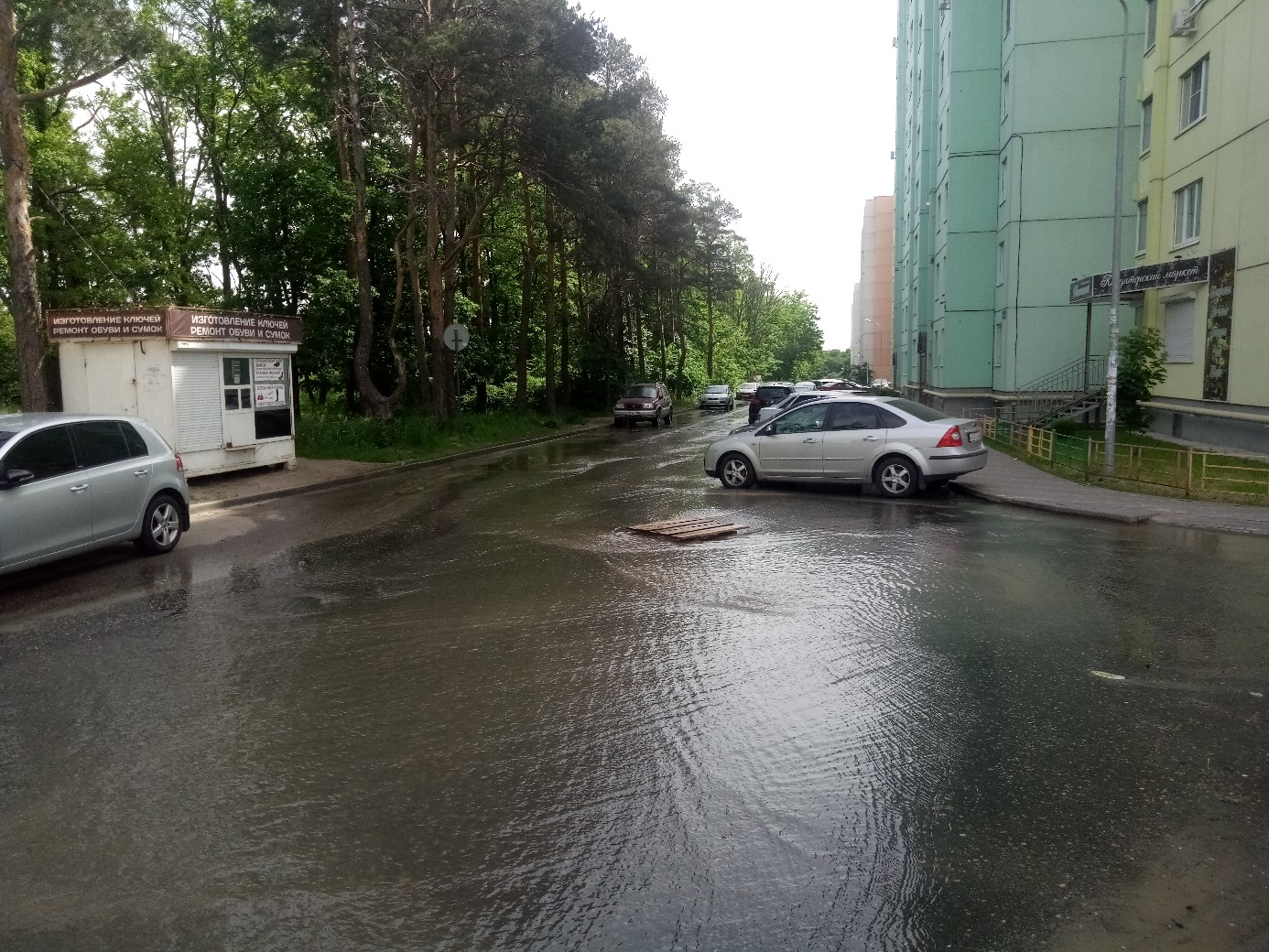 2019 New district. Yesterday Medvedev came to solve industrial issues. We can't solve sewage problems. \_()_/ - Water, Breakthrough, Voronezh, Boiled, Mers, Inaction, Longpost