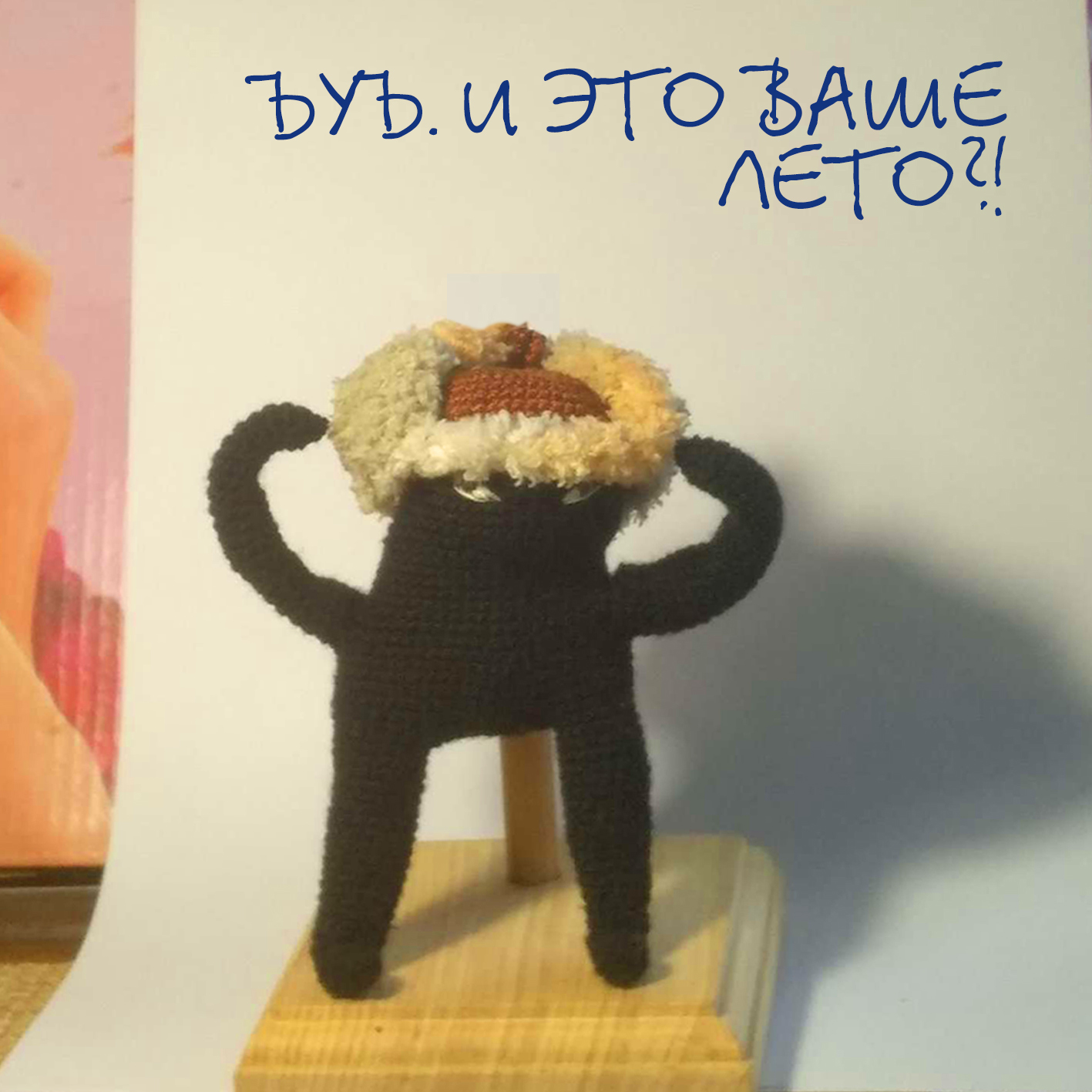 There is a bj for everyone! - My, Byy, Memes, Needlework without process, Knitting, Longpost